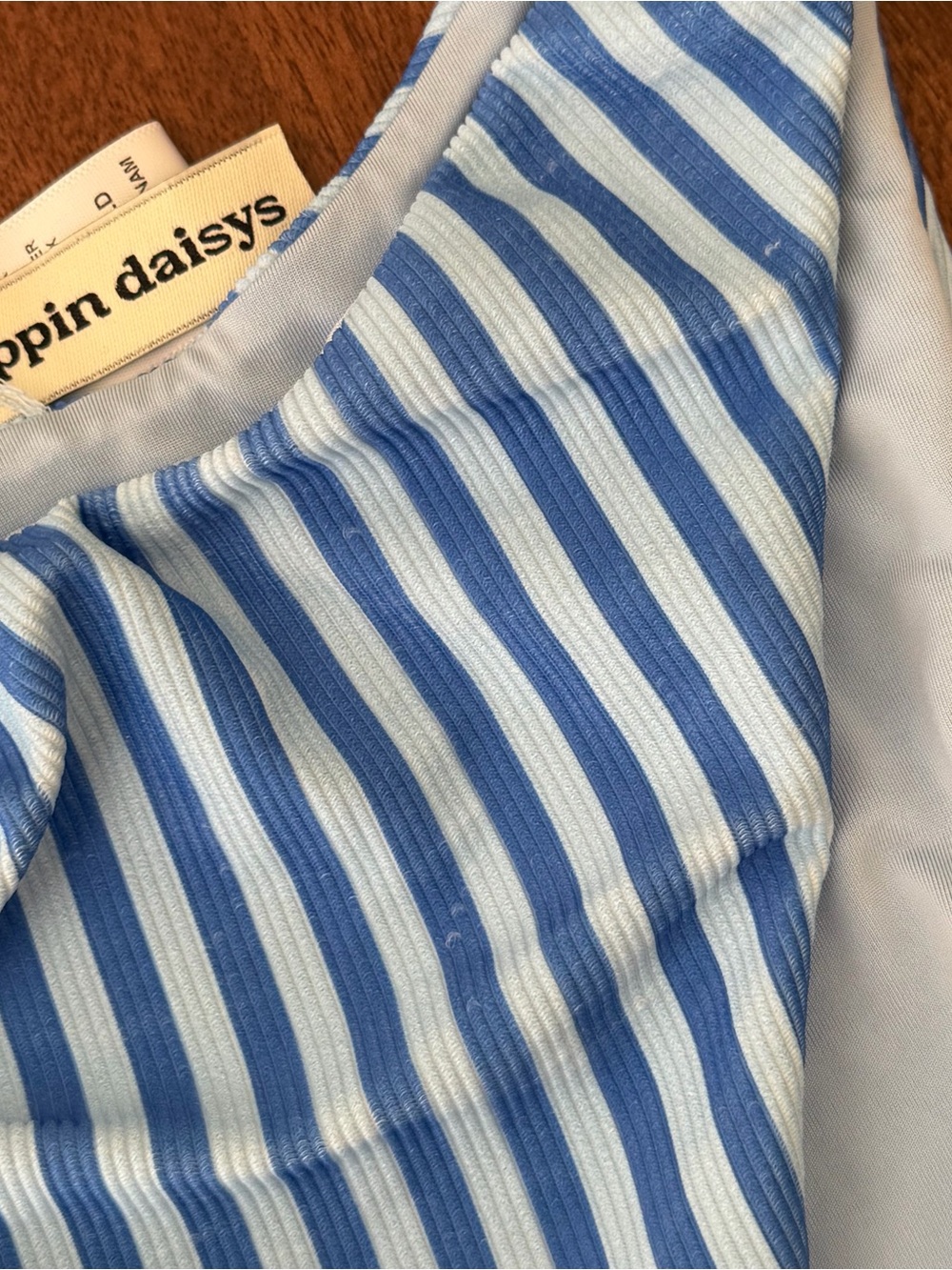 Dippin Daisys Blue & White Striped Bikini - Picture 5 of 5
